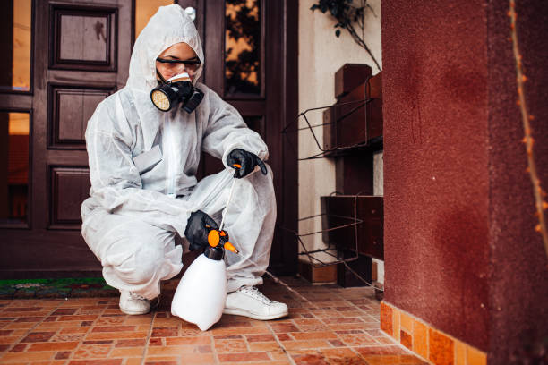 Reliable Ant Control contractor in Anacoco, LA by Show Me Pest Control